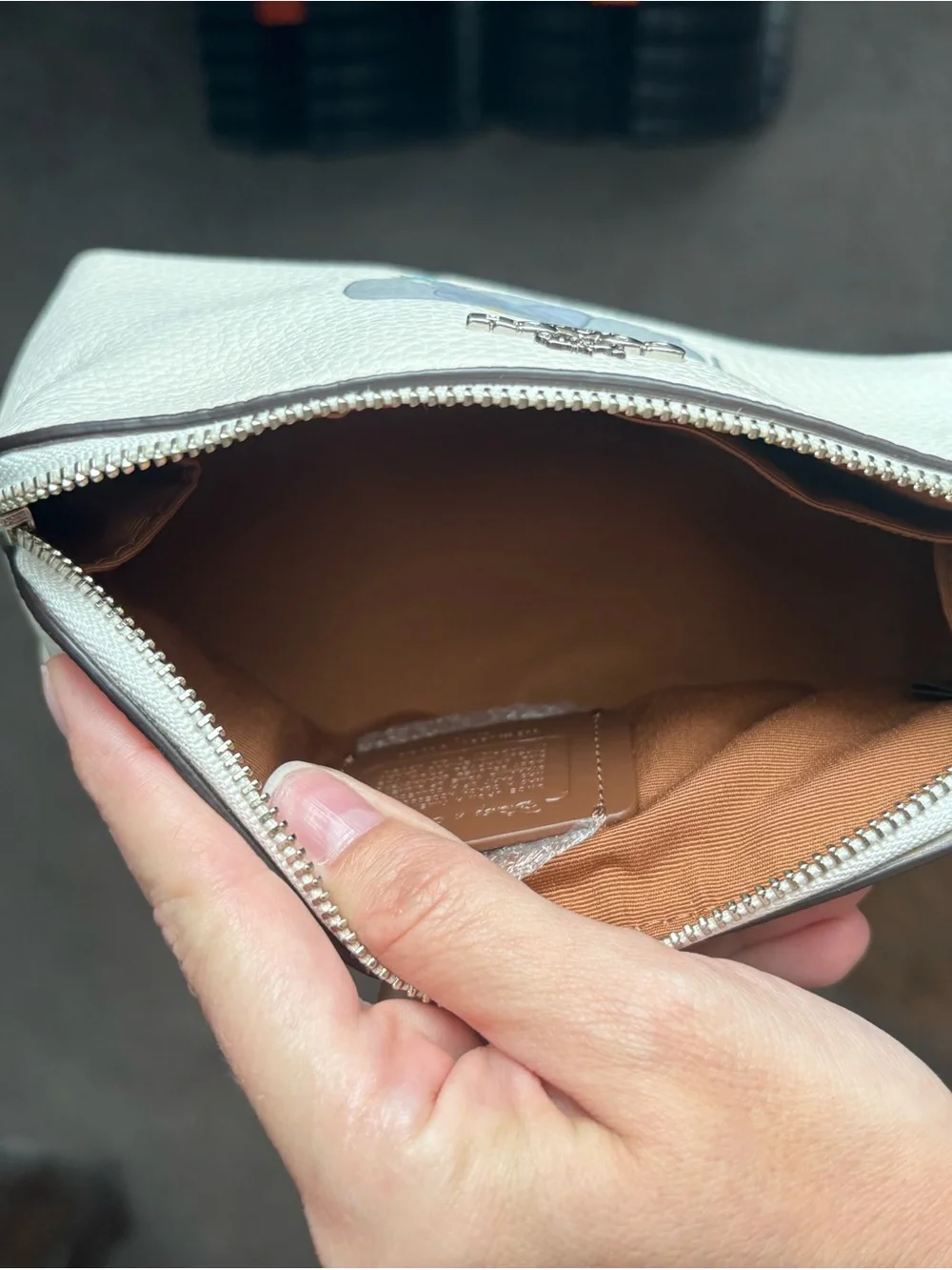 Coach Dumbo Cosmetic Pouch & Wristlet Set